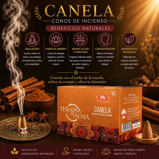 Incienso Bic Cono - Cascada de Canela PPM2.4K