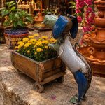 Carretilla Jardines Reales de Srinagar