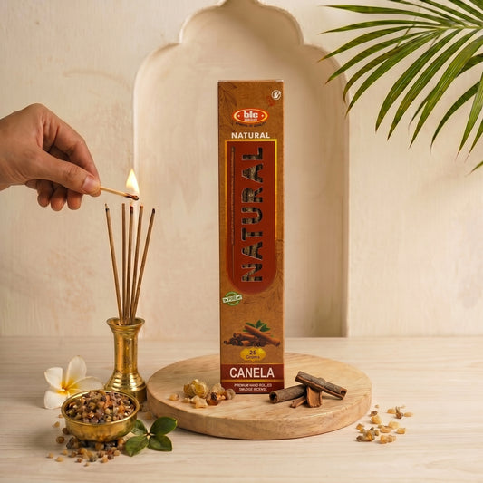 Incienso Bic Natural Canela PPM5.4K